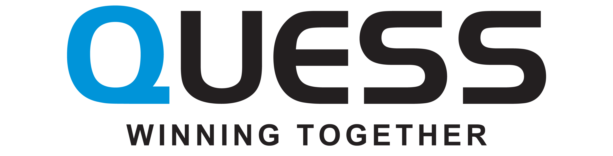 Placement Partner