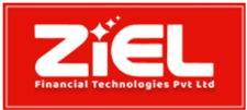 Placement Partner