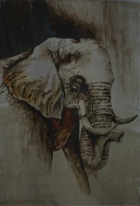 Elephant