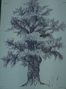 Tree Study 3