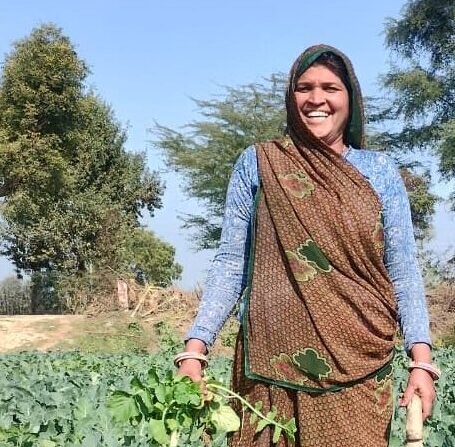Farming Livelihoods